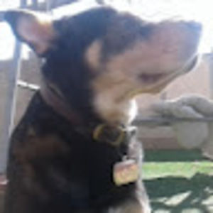 Meet your Posher, Chris